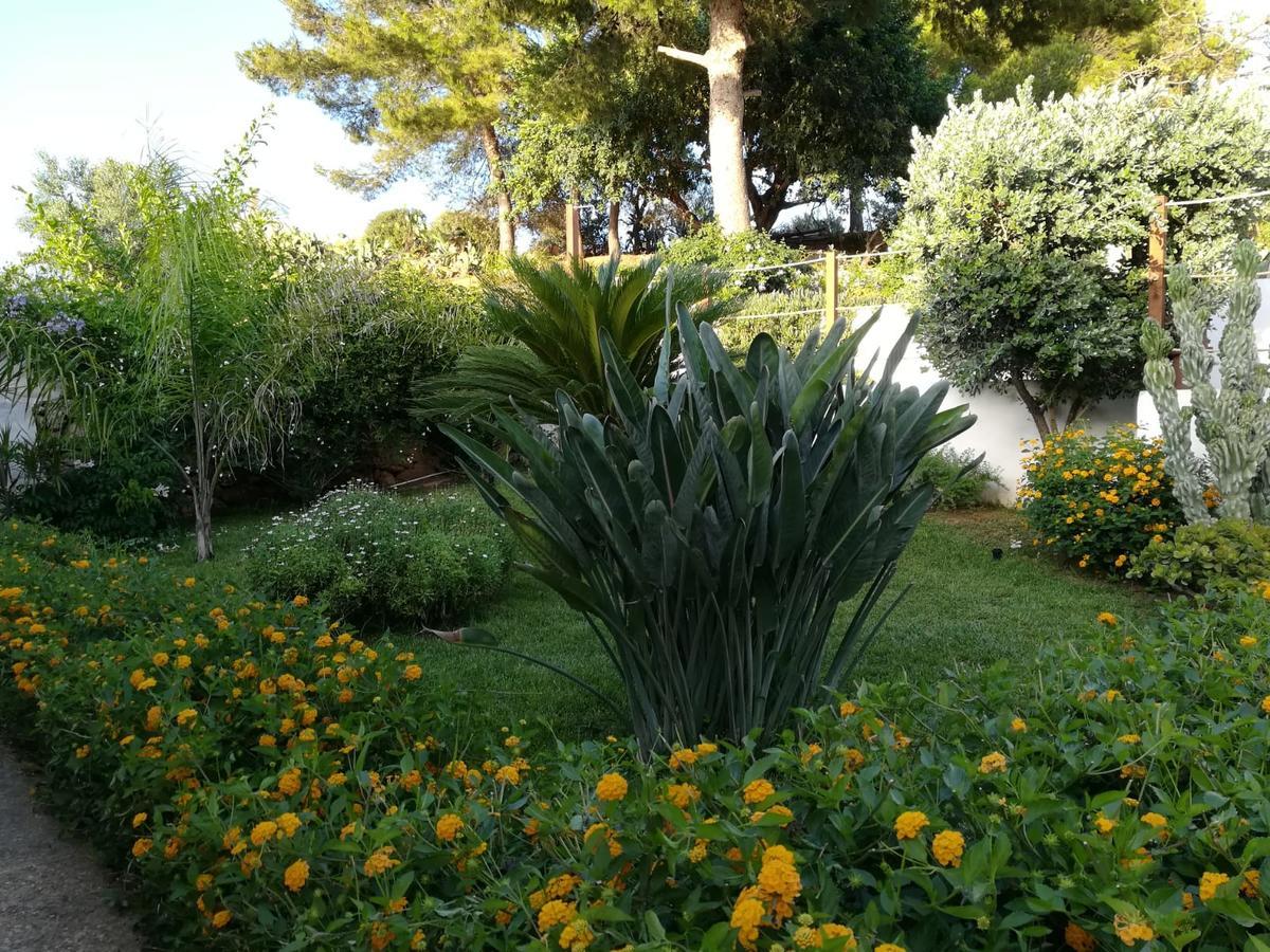 Bianco Sale Trapani Bed & Breakfast Rilievo Luaran gambar